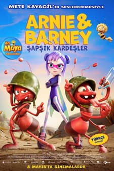 Feed Görseli
