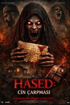 Feed Görseli